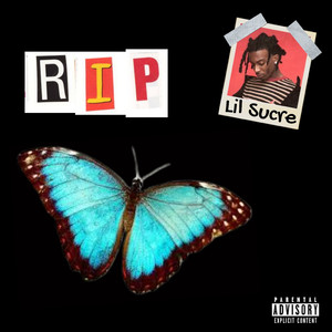 非洲女人与兽交配农厂大满罐
