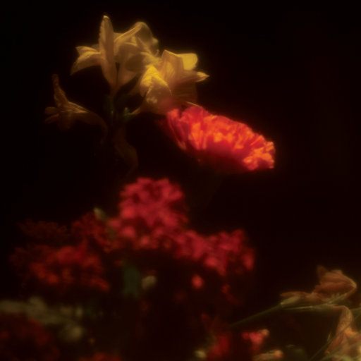 非洲女人与兽交配农厂大满罐
